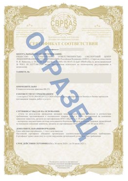 Образец Сертификат СТО 01.064.00220722.2-2020 Янаул Сертификат СТО 01.064.00220722.2-2020 